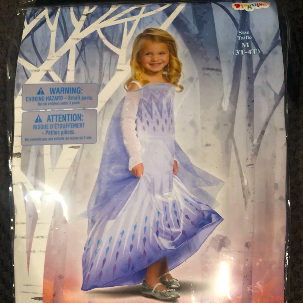 Elsa Halloween Costume